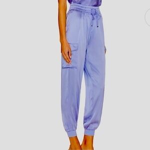 Pinch Cloud Nine Silky Joggers Size Large NWT